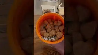 Zesty Paws Probiotic Bites for Dogs