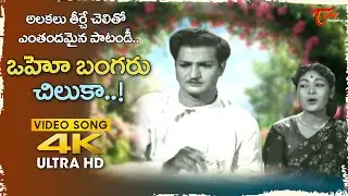 Oho Bangaru Chiluka Song 4K | Bhale Ammayilu vintage Movie | NTR, Savitri Melody | Old Telugu Songs