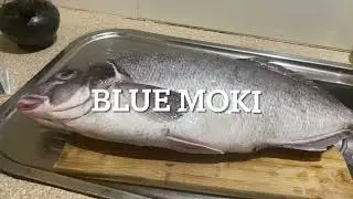 Blue MOKI 5kg, clean and cut