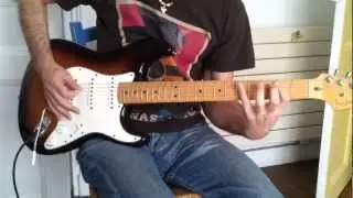 Steamy Windows - Tony Joe White - disto - guitare