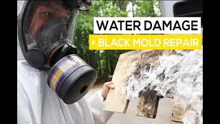 Black Mold in our RV?!