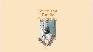 The Tactile System and the Importance of Touch