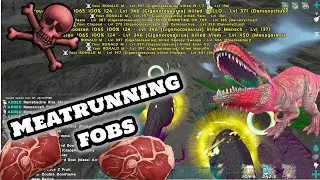 Meatrunning FOBS! - ARK Official PvP W.A.Y. - Stream / Highlights #1