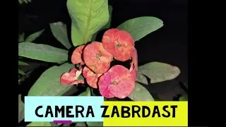 OPPO R17 PRO Full Camera Review | Triple rear Camera