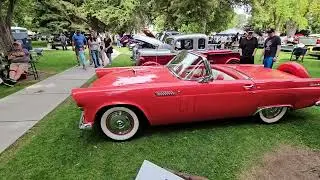 1956 T Bird, Joe Mama&rsquo;s Car Show 2025 Video #2245