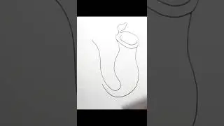 How to draw pitcher plants step by step speed drawing #speeddrawing #shorts #howtodraw #drawing