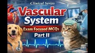 🩺 Veterinary MCQs on Circulatory System| Comprehensive Exam Preparation | Clinical Series