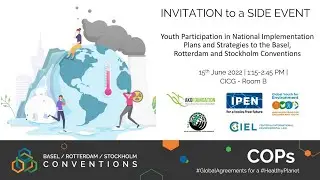 Youth Participation in National Implementation Plan and Strategies (NIPs) to the BRS Conventions