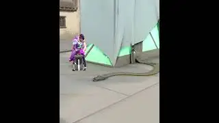 #memes #memebaba #nibbanibbi #fight #velorent