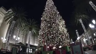 Fashion Island, Newport Beach | CALIFORNIA
