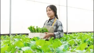 5 Secrets Behind Chinese Agricultural Success | Smart Agri Hub