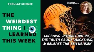 The Truth About Quicksand & Release the Tea Kraken | The Weirdest Thing I Learned This Week S7E22