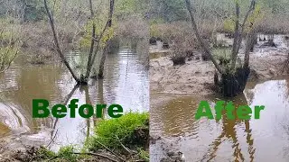 Bye Bye Beavers | Is Our Grass Ready for Cows?