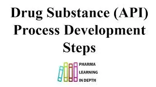 Drug Substance (API) Process Development Steps