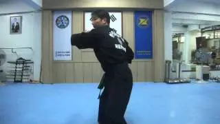Hapkido Kido Hae Basic form #1
