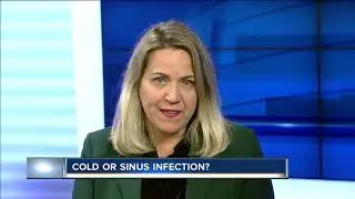 Cold or sinus infection? Local pediatrician goes over the symptoms between the two