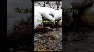 &ldquo;Trời &ndash;20&deg;C m&agrave; nước ở Canada vẫn chảy b&igrave;nh thường&hellip; v&igrave; sao?#canada #viral #kimnguyencuocsongocanada