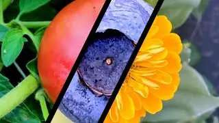 I spent 50 hours lining up photos for this 30 second animation