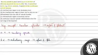 Vascular cylinder in dicot stems occurs in the form of distinctly separated vascular bundles. Bu...