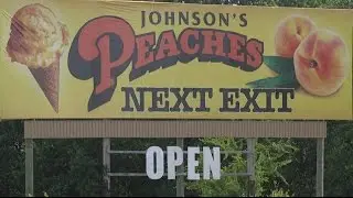 Johnson's Peaches | NC Now | UNC-TV