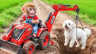 Monkey Nana Uses JCB to Rescue a Puppy from a Deep Pit&hellip; The Ending Will Shock You! 😱🐶🚜
