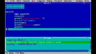 Little Problem of scanf() in inputting the String in C program