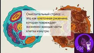 Фуллерен С-60. ИИ разобрал молекулу молодости. | Full Energy |