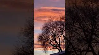 Beautiful Sunset 🌅🌞🌅 #sunset #sunsetlovers #sunsetphotography #sunsetsky #Shorts