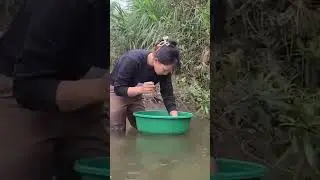Stream fish trapping skills from a rural girl