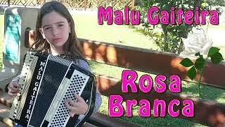 Rosa Branca - Malu Gaiteira em Ipira - SC #39