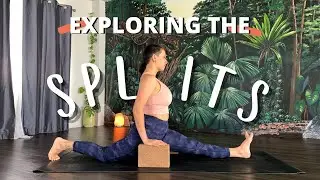 Exploring the Splits | Hanumanasana | Slow Vinyasa Flow