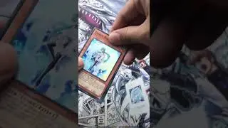 Rarity Collection Pulls (4/15)  #yugioh