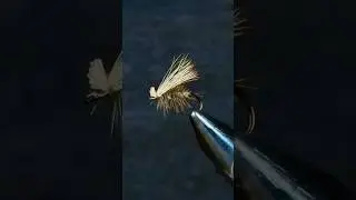 Most Popular Dry Fly on the Planet | Elk Hair Caddis | Fly Tying Tutorial #flytying #flyfishing