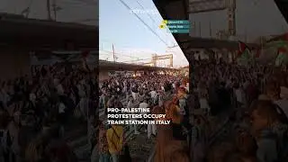Pro Palestine protesters occupy train station in Italy