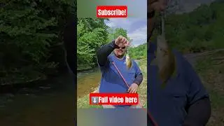We love fishing! #creekfishing #fishing#outdoors