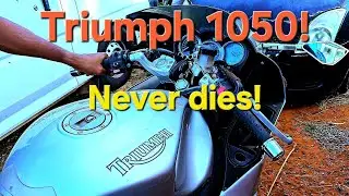 Triumph 🐅 1050 Sport! #motorcycle #motorbike #Triumph #bike 