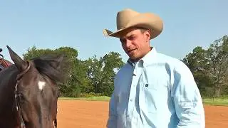 Sebastian Petroll &ndash; Horse Training Philosophy