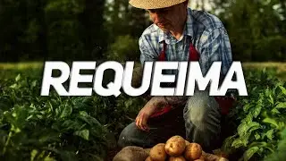 Controle p&oacute;s emergente da requeima na batata