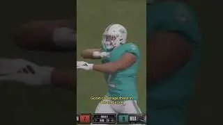 Bengals' Defense Shuts Down the Dolphins' Offense