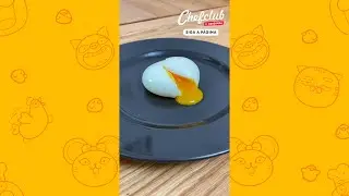 Ovos Beneditinos no p&atilde;o de forma 🥚🤩 Com salm&atilde;o defumado e molho holand&ecirc;s!