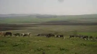 mugallı köyü serkan kaplan