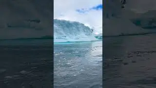 Cierva cove zodiac 13- Quark Expeditions World Explorer - Antarctica Cruise day 7
