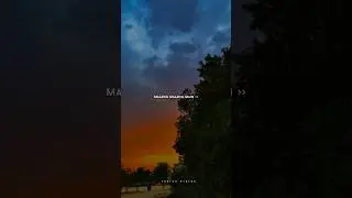 Malang Malang | lyrics | Aesthetic #love #viralvideo #aesthetic #song #music #lyrics #hindisong