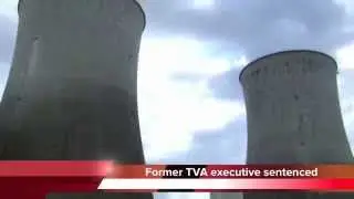 TVA vice president Masoud Bajestani arrested