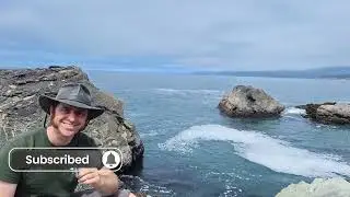 Exploring the Intertidal Zone