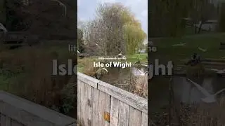 Little winter moments on the Isle of Wight ❄️