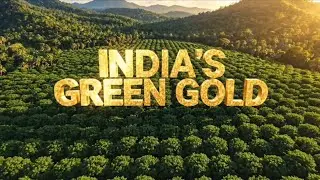 Redefining the Future of Sustainable #Macadamia #Agribusiness in India 🌱 #Bahuvida #MacadamiaFarming