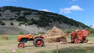 Trebbiatura 2025 presso Azienda agricola Cestari  Tardiano di Montesano (SA)