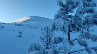 𝟭𝟬𝟳𝟵 (aka Kholat Syakhl or Dead Mountain) - Jan 30, 2025 #dyatlovpassincident