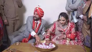 Live Wedding Day//